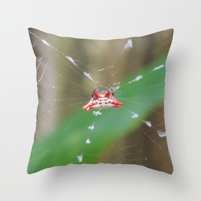 Colorful crab spider Throw Pillow
