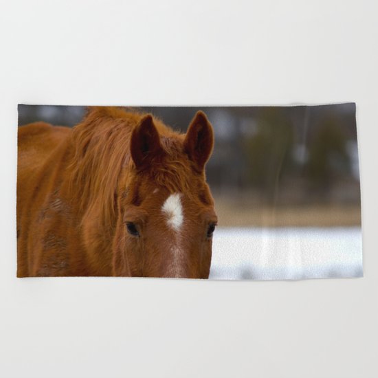 Red - The Auburn Horse Beach Towel