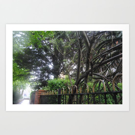 Call Of The Wild. Art Print