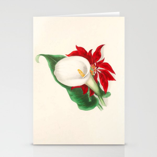  Calla Lily by Clarissa Munger Badger, 1866 (benefitting The Nature Conservancy) Stationery Cards