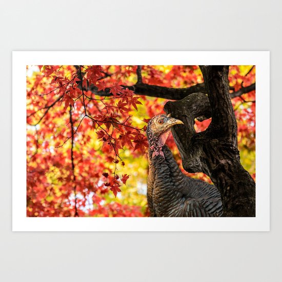 HAPPY THANKSGIVING FROM WILD TURKEY Art Print