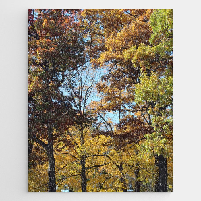 Fall Forest Jigsaw Puzzle