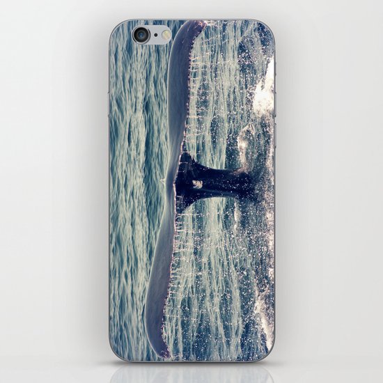 The Journey iPhone & iPod Skin