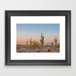 Desert / Scottsdale, Arizona Framed Art Print