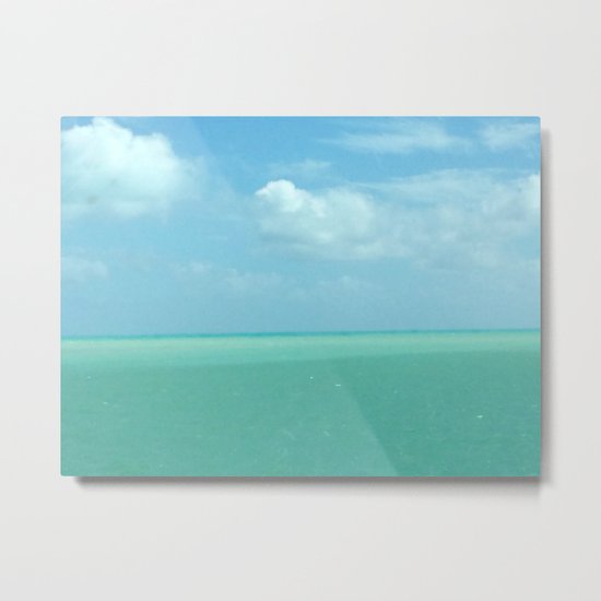 The Beauty of Florida Metal Print