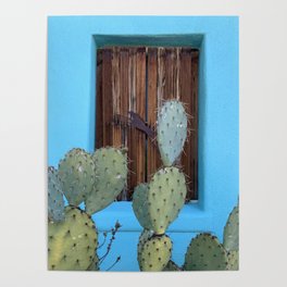 Aqua Wall + Cactus :: Barrio Viejo Tucson Poster