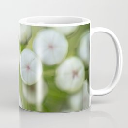 Wht-flowered Milkweed Coffee Mug