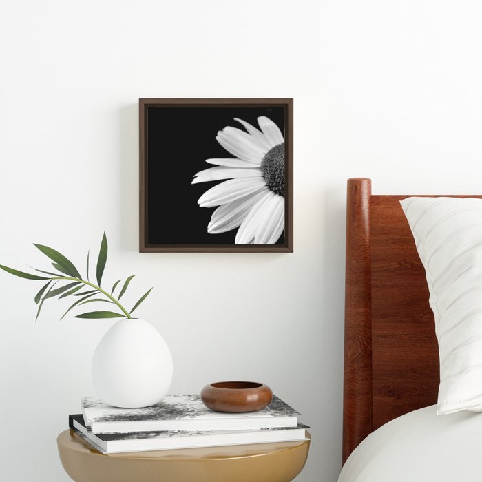 Half Daisy in Black and White Framed Canvas 