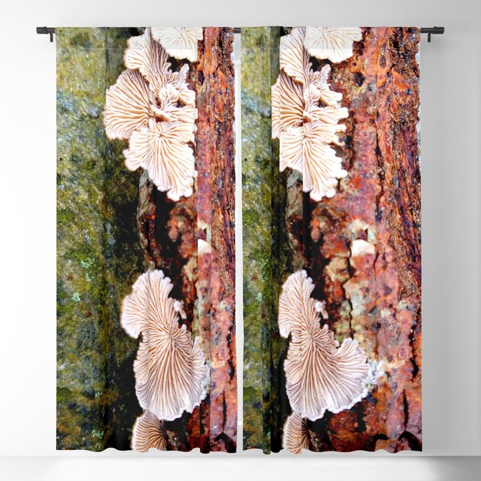 Tree Fungus Blackout Curtain
