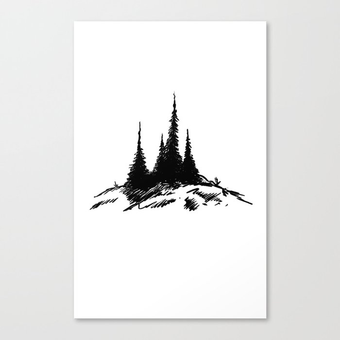 Adirondack Pines Canvas Print