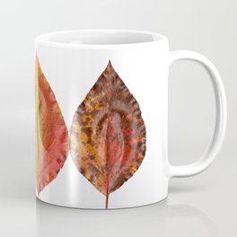 Fal Leaves Mother Nature Coffee Mug