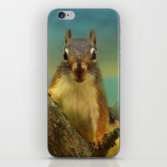 Little Red Squirrel iPhone & iPod Skin