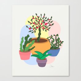 Botanical Porch Plant Babies | Art Print Canvas Print