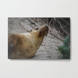 The Gaze Metal Print