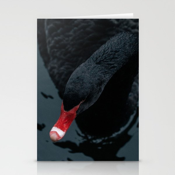 Portrait of black swan. Stationery Cards
