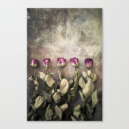 Five dried roses Canvas Print
