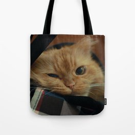 Funny red kitten in a colorful backpack Tote Bag
