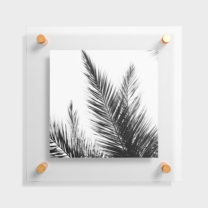 Minimal Palms Floating Acrylic Print