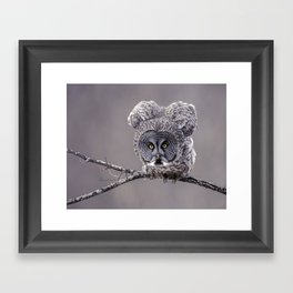 Great Gray Owl Attack Ready Framed Art Print