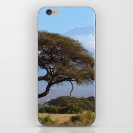 South Africa Photography - Dry Acacia Tree In The Savannah iPhone Skin