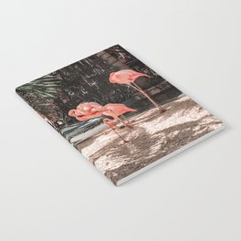 Pink Flamingos Notebook