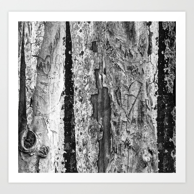 Carvings In Tree Trunk Gnarly Texture Pattern Art Print By Naturaldesign Society6