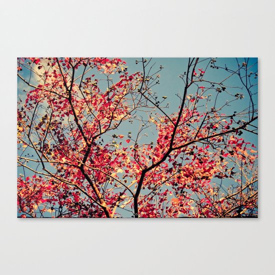 Autumn Branch & Leaves Canvas Print