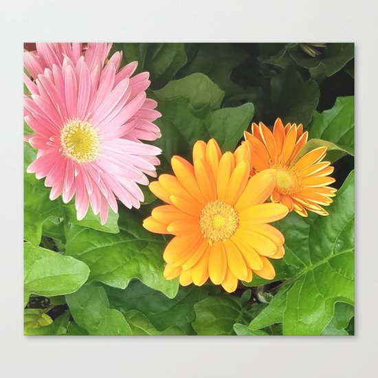 Summer Flowers Pink Yellow Orange Canvas Print