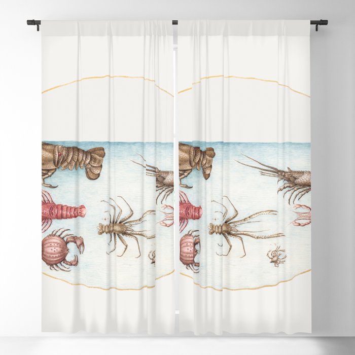Vintage sea: Lobster, Squilla Mantis, and Other Crustaceans Blackout Curtain