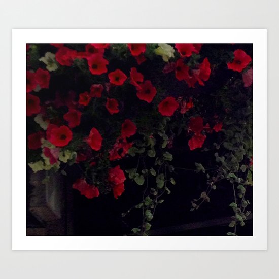 Hanging Basket Art Print