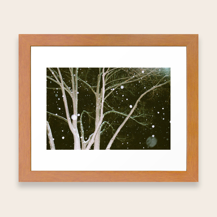 Kmart Parking Lot Tree In Herndon Virginia 2017 Framed Art Print By Therothschildphotocollection Society6