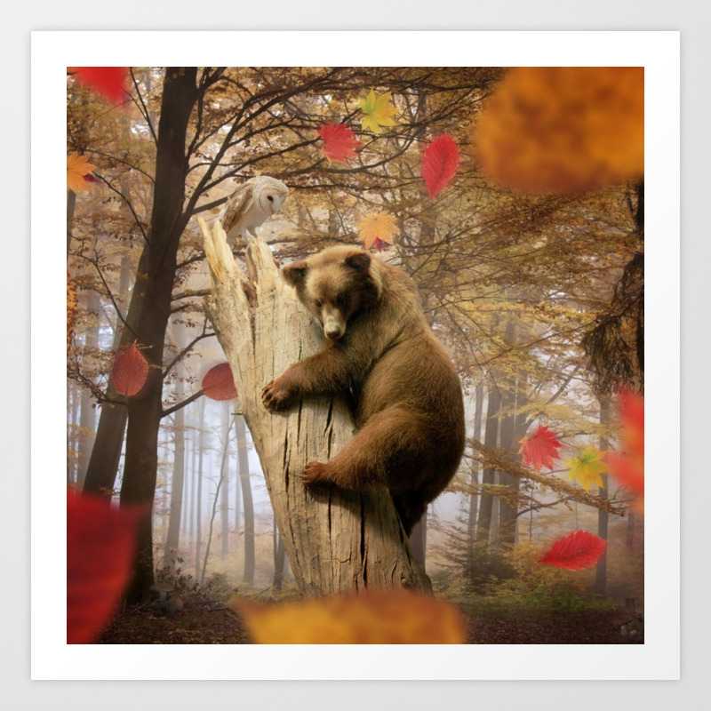 can kodiak bears climb trees