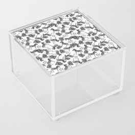 zebra Acrylic Box
