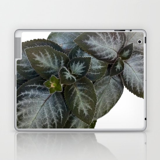 Gesneriad Laptop & iPad Skin