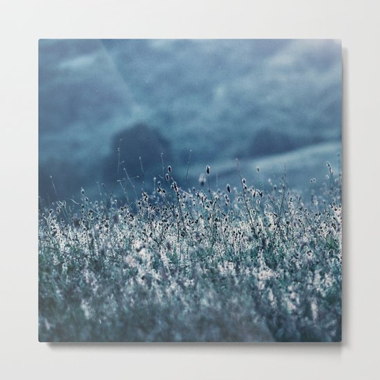 once in a Blue moon Metal Print
