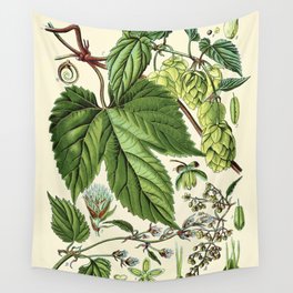 Humulus lupulus (common hop or hops) - Vintage botanical illustration Wall Tapestry