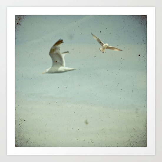 Gulls Art Print