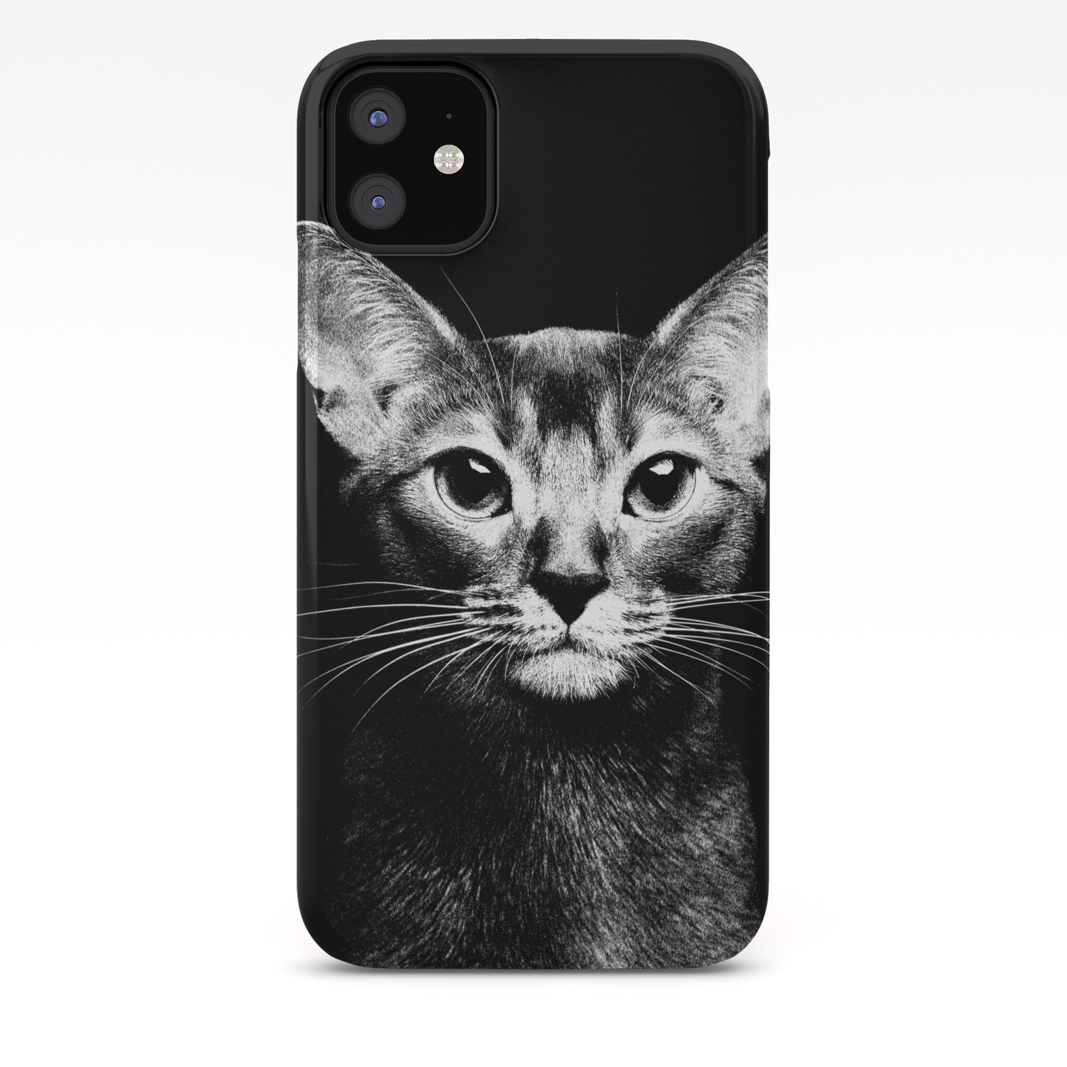 Abyssinian Cat Portrait Black And White Iphone Case By K9printart