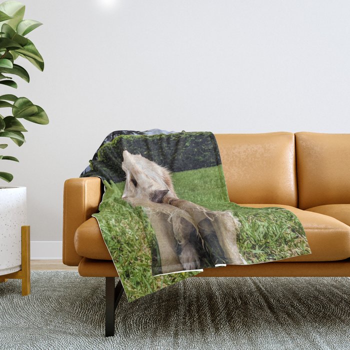 Dog Daze Throw Blanket