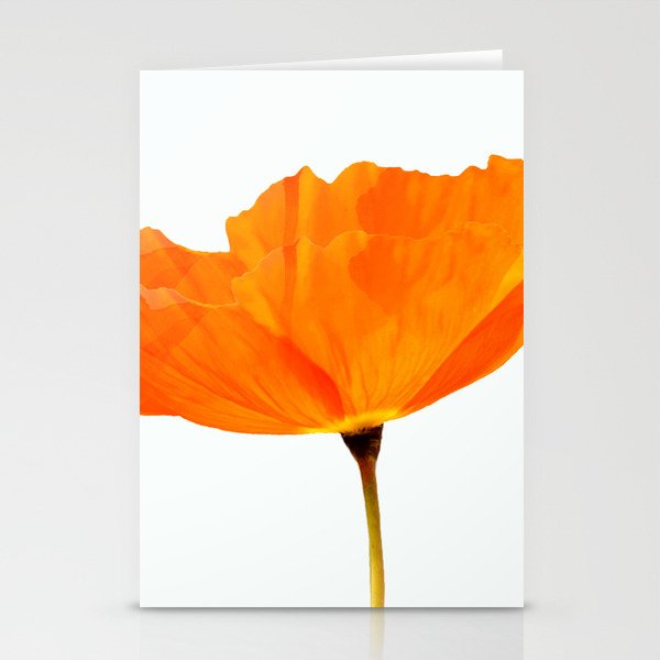 One And Only - Orange Poppy White Background #decor #society6 #buyart Stationery Cards