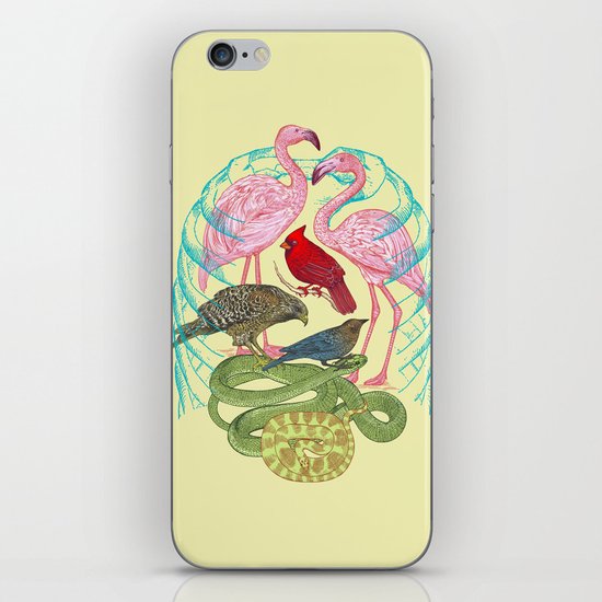 Wild Anatomy II iPhone & iPod Skin
