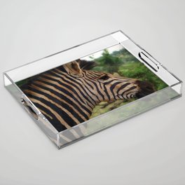 South Africa Photography - A Zebra In The Forest Acrylic Tray