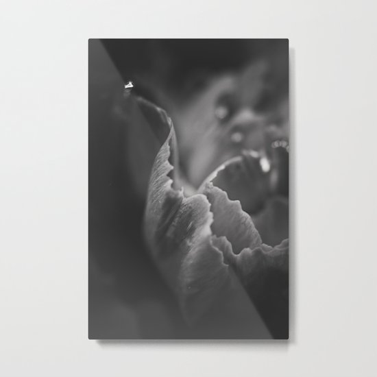 ruffled dreams Metal Print