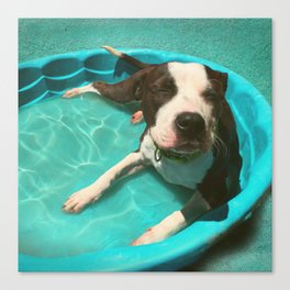 SERENA (shelter pup) Canvas Print
