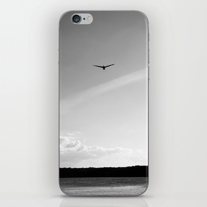 As the Lonely Bird Soars iPhone Skin