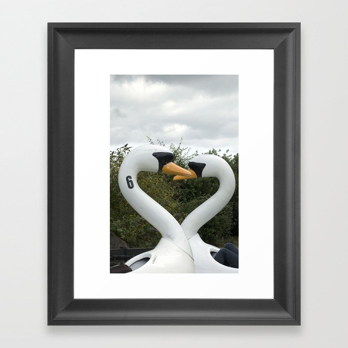 Swans Framed Art Print