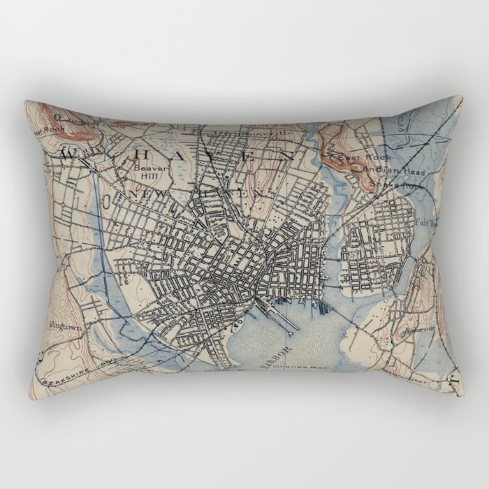 Vintage Map of New Haven Connecticut (1890) Rectangular Pillow