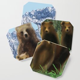bear fam  Coaster