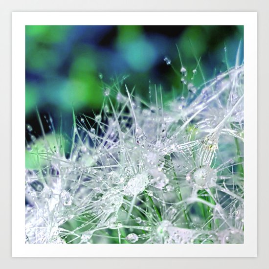 Splendor Art Print