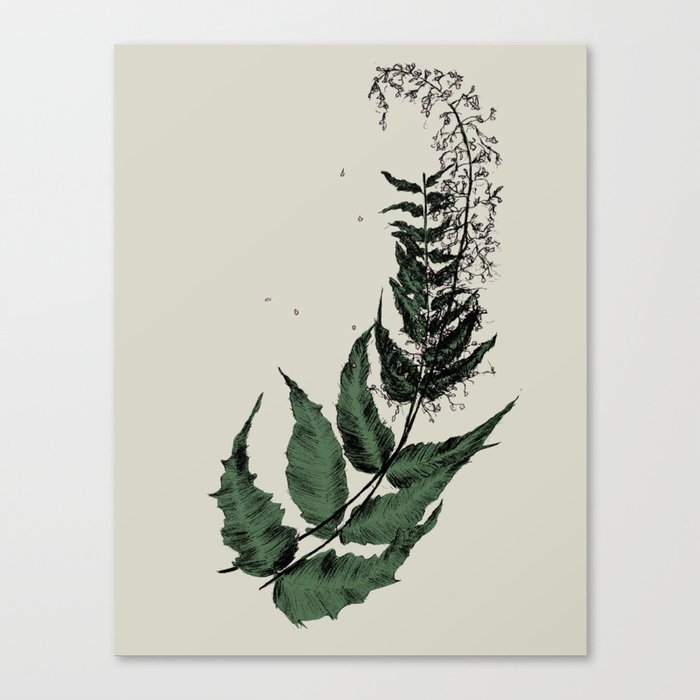 A Petal or Two Canvas Print